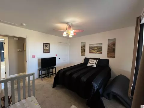 4697 State Route 384, Mayfield, KY 42066 photo 35