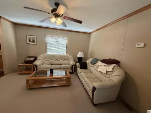 45 Drew Ln, Benton, KY 42025 photo 4