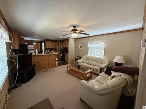 45 Drew Ln, Benton, KY 42025 photo 3