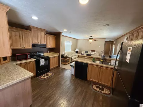 45 Drew Ln, Benton, KY 42025 photo 5