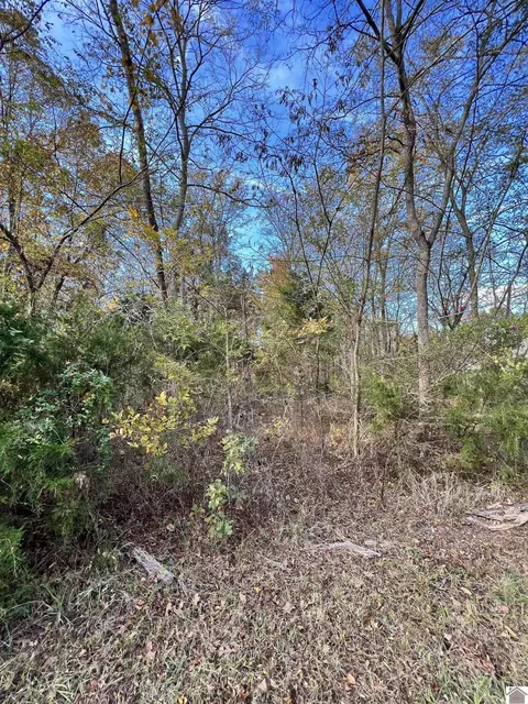 00 Weekend Ln, Murray, KY 42071 photo 3