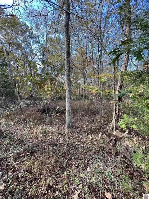00 Weekend Ln, Murray, KY 42071 photo 4