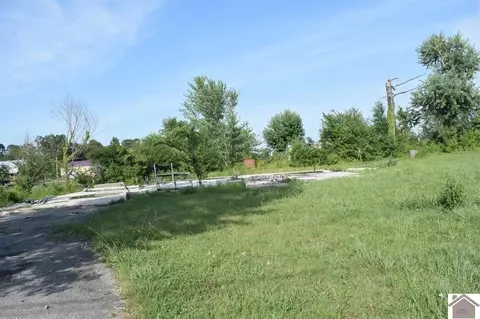 7349 Moors Camp Rd, Gilbertsville, KY 42044
