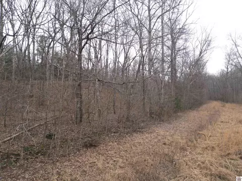 0 Thomas Dr, Murray, KY 42071 photo 13