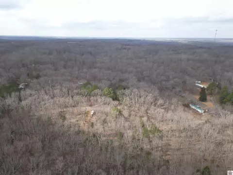 0 Thomas Dr, Murray, KY 42071 photo 9