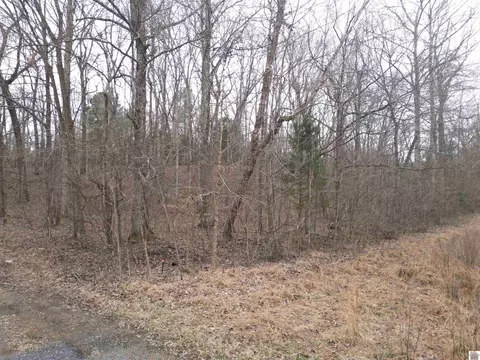 0 Thomas Dr, Murray, KY 42071 photo 12