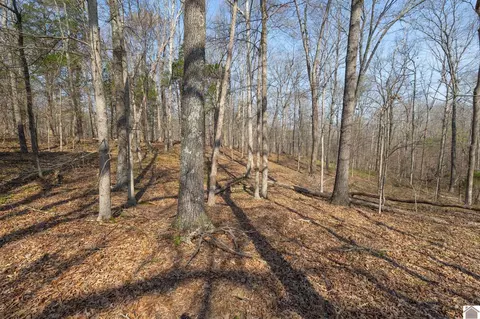 000 Croaker Ln, Hazel, KY 42049 photo 40