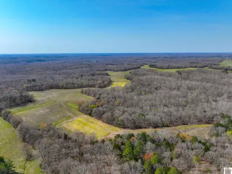 000 Croaker Ln, Hazel, KY 42049 photo 43