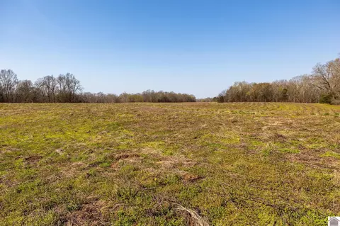 000 Croaker Ln, Hazel, KY 42049 photo 8