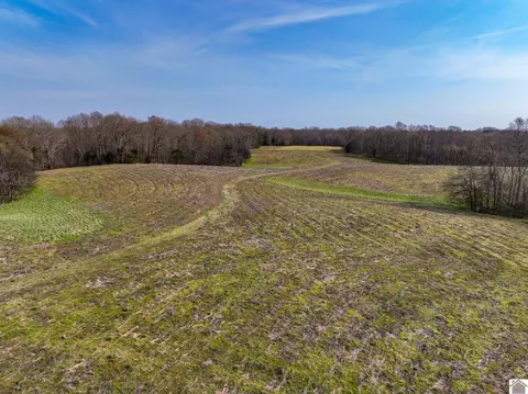 000 Croaker Ln, Hazel, KY 42049 photo 7