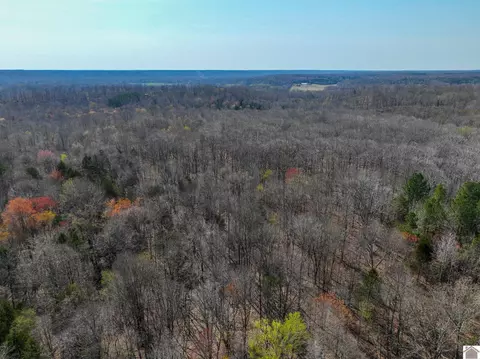 000 Croaker Ln, Hazel, KY 42049 photo 38