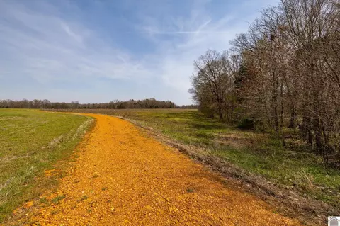 000 Croaker Ln, Hazel, KY 42049 photo 46