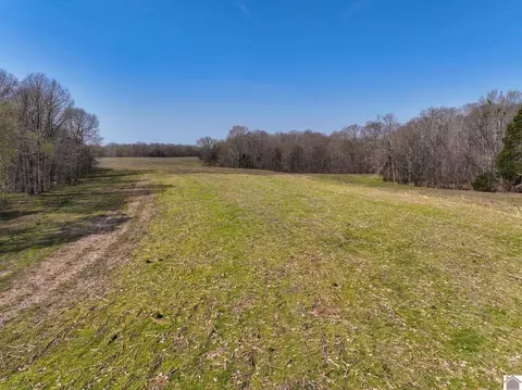 000 Croaker Ln, Hazel, KY 42049 photo 31
