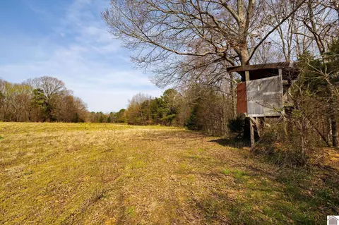 000 Croaker Ln, Hazel, KY 42049 photo 26