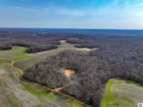 000 Croaker Ln, Hazel, KY 42049 photo 47
