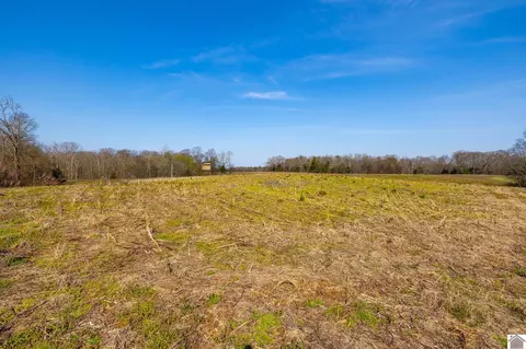 000 Croaker Ln, Hazel, KY 42049 photo 15