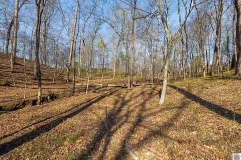000 Croaker Ln, Hazel, KY 42049 photo 32