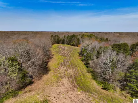 000 Croaker Ln, Hazel, KY 42049 photo 28