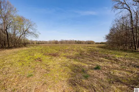 000 Croaker Ln, Hazel, KY 42049 photo 34