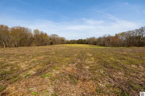 000 Croaker Ln, Hazel, KY 42049 photo 25