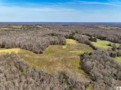 000 Croaker Ln, Hazel, KY 42049 photo 42