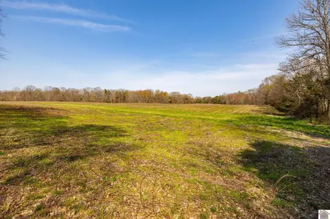 000 Croaker Ln, Hazel, KY 42049 photo 24