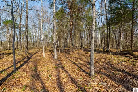 000 Croaker Ln, Hazel, KY 42049 photo 39