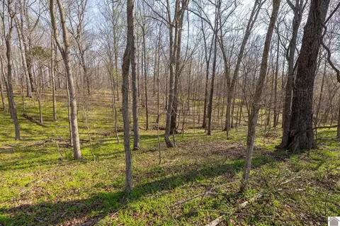 000 Croaker Ln, Hazel, KY 42049 photo 17