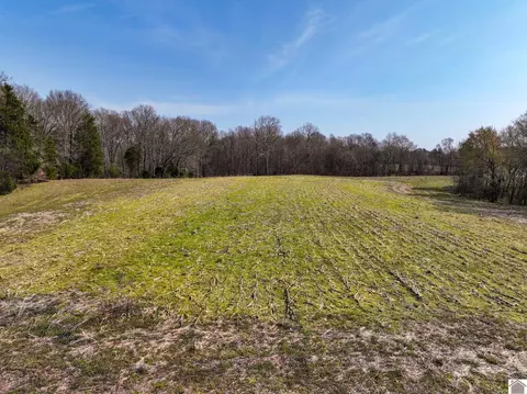 000 Croaker Ln, Hazel, KY 42049 photo 35