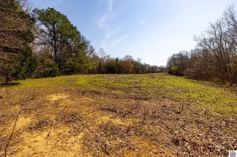000 Croaker Ln, Hazel, KY 42049 photo 29