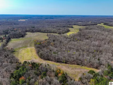 000 Croaker Ln, Hazel, KY 42049