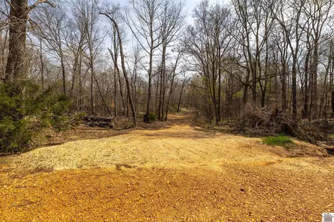 000 Croaker Ln, Hazel, KY 42049 photo 44