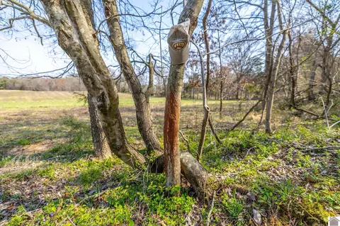 000 Croaker Ln, Hazel, KY 42049 photo 18