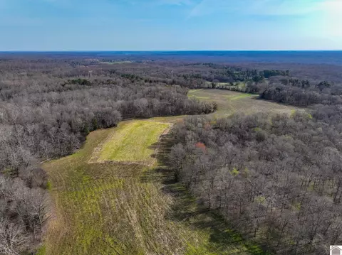 000 Croaker Ln, Hazel, KY 42049 photo 36