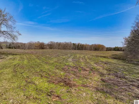 000 Croaker Ln, Hazel, KY 42049 photo 37