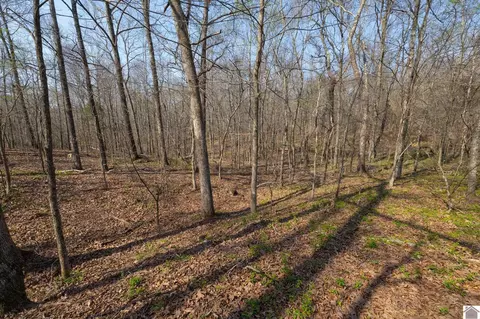 000 Croaker Ln, Hazel, KY 42049 photo 33