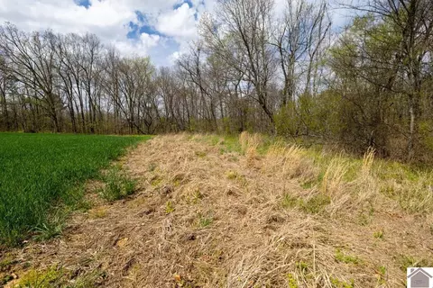 000 Carlton Rd, Murray, KY 42071 photo 15