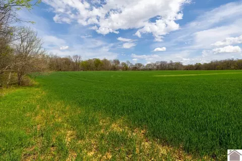 000 Carlton Rd, Murray, KY 42071 photo 21
