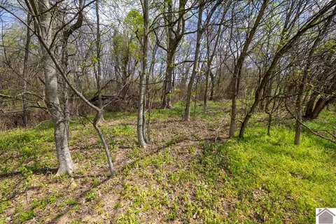 000 Carlton Rd, Murray, KY 42071 photo 13