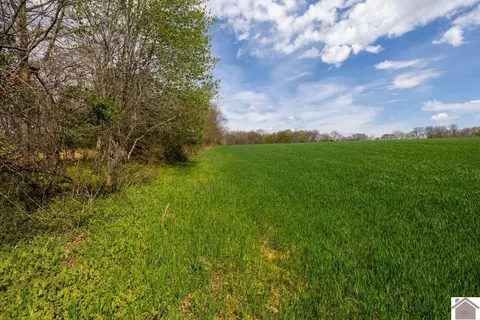 000 Carlton Rd, Murray, KY 42071 photo 12