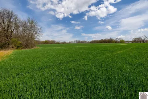 000 Carlton Rd, Murray, KY 42071 photo 16
