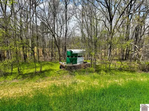 000 Carlton Rd, Murray, KY 42071 photo 10