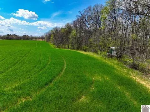 000 Carlton Rd, Murray, KY 42071 photo 9