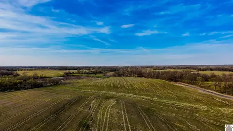 0 County Road 1110 Hwy 80, Fancy Farm, KY 42039