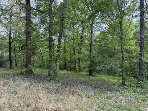 0000 New Hope Rd, Calvert City, KY 42029