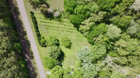 4254 Shoemaker Rd, Hazel, KY 42049 photo 31