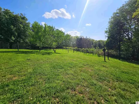 4254 Shoemaker Rd, Hazel, KY 42049 photo 9