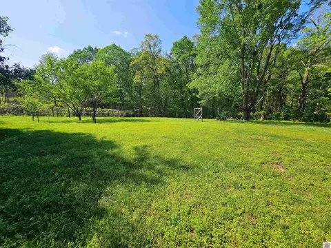 4254 Shoemaker Rd, Hazel, KY 42049 photo 6