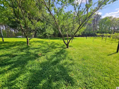 4254 Shoemaker Rd, Hazel, KY 42049 photo 12