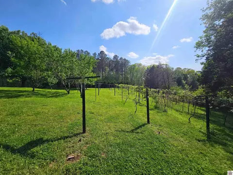 4254 Shoemaker Rd, Hazel, KY 42049 photo 10
